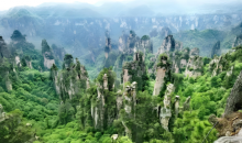 “荒野求生赛”为何屡被叫停？