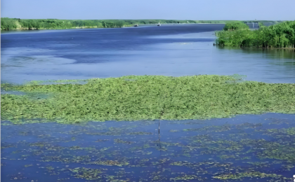 共建“水上枫桥” 守护万里安澜