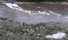 山东临邑“河水污染”追踪：系污水外溢 正抓紧推进整改