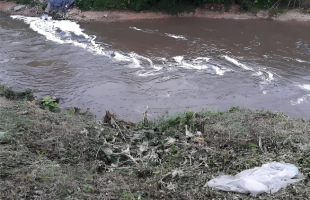 山东临邑“河水污染”追踪：系污水外溢 正抓紧推进整改