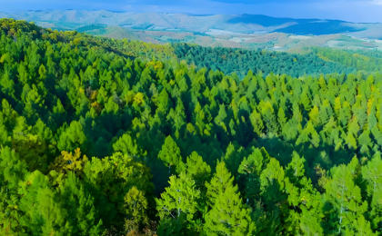 生态守护者的绿色画卷 