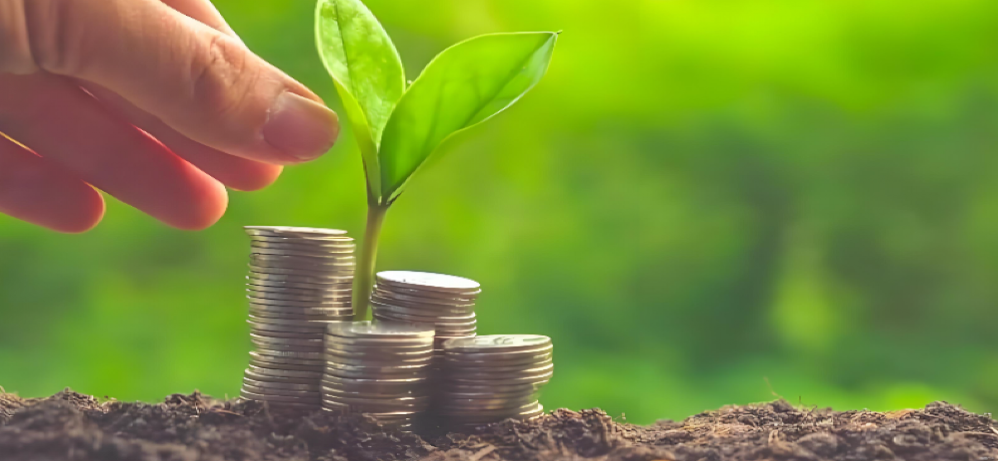 商务部：2026年重点做好提振消费等八方面工作