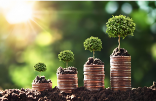 明确碳配额属性，推动碳金融发展  