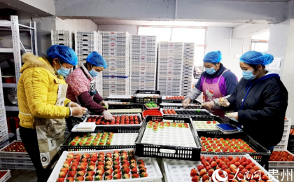 贵阳花溪：农特产鼓起群众“钱袋子”    