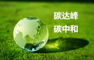 城市双碳指数发布：“因地制宜”成为气候行动新黄金标准  