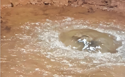 贾鲁河泉眼复涌是大自然的温柔回赠  