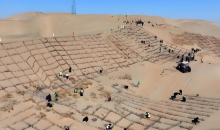 塔克拉玛干治沙正酣