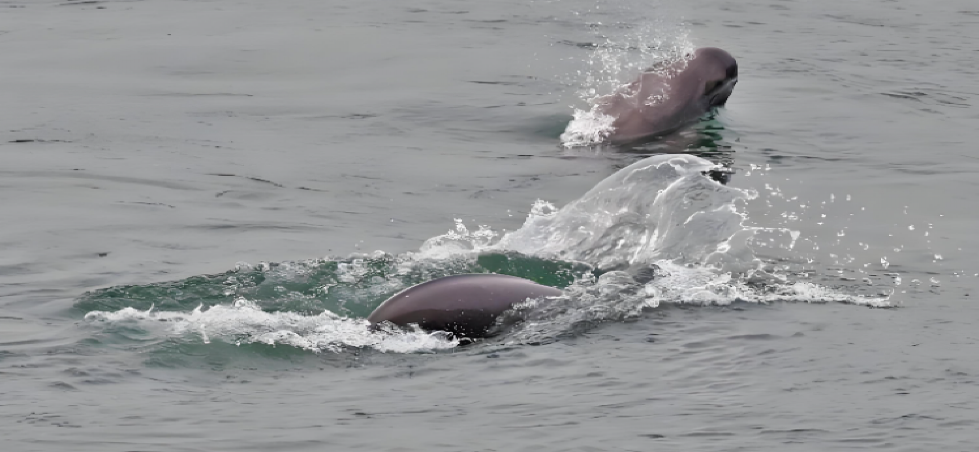 “十四五”江河保护治理 绘就人水和谐画卷