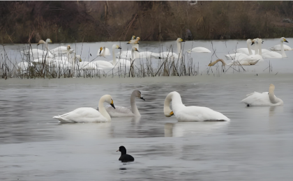 守护那股生生不息的韧劲   