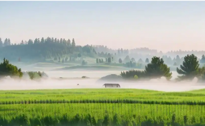 人民财评：守牢最大确定性，开创乡村全面振兴新局面   