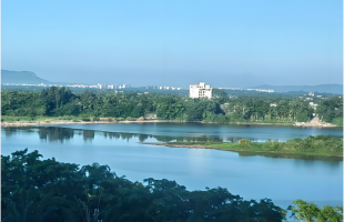 深山“小叶子”，飞向国际大舞台    