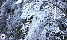 云南盐津：树木挂上“冰雪糖霜”