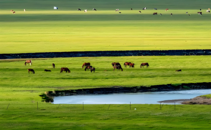 2025年我国完成国土绿化任务1.27亿亩