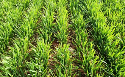 让农民生活更加富裕美好 