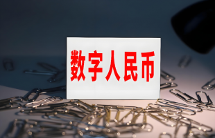 数字人民币红包精准惠民 为“乐购新春”添动能    