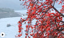 攀枝花长啥样？到攀枝花去看看