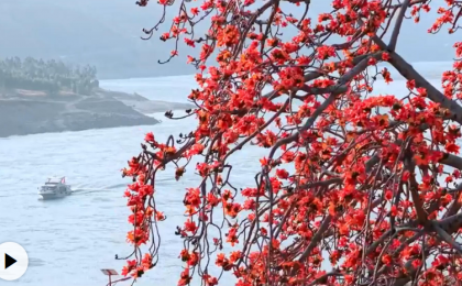 攀枝花长啥样？到攀枝花去看看