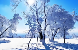  “好天气”门槛更高了    