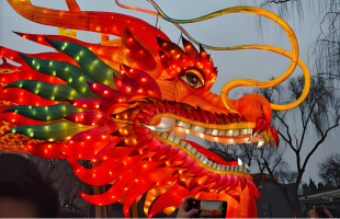 一条“非遗龙”串起两岸情  