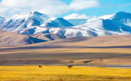 青藏高原“身高”增长之谜被破解    