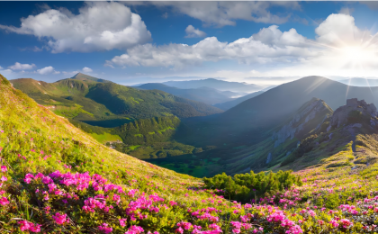 云南永德雪山与花海邂逅 每一帧都好治愈  