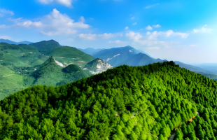 千年古井水，终成滋养乡亲的“致富水”   