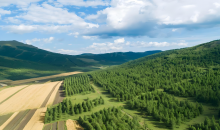 去年完成营造林356.3万公顷  