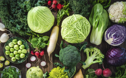 推动“十五五”时期健康中国建设取得决定性进展    