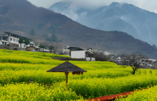 绿色获得感从何而来