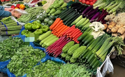 瞧瞧菜篮子里的新变化    