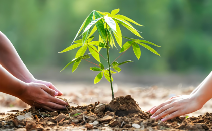 为什么中国人对种树这件事，如此执着与热爱？