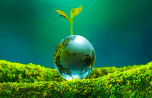 树立和践行正确政绩观学习教育中央指导组完成进驻  