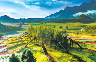 走好发展生态旅游的“平衡木”    