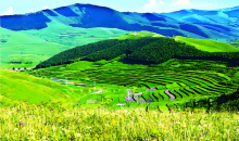 如何更精准地刻画“一片叶子”“一方水土”的生态贡献？  