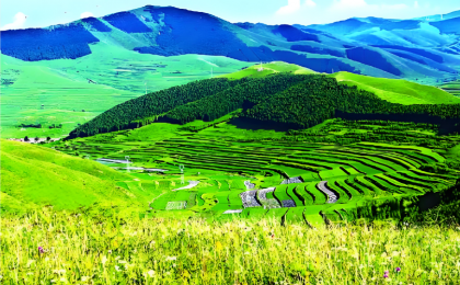 如何更精准地刻画“一片叶子”“一方水土”的生态贡献？  