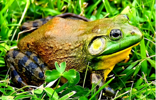 我国进一步筑牢国门生物安全屏障  