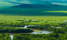 内蒙古全民共筑生态长城  