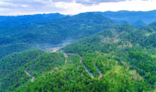 湖北恩施发行首批300万元“鄂林碳票” 