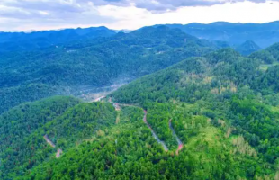 湖北恩施发行首批300万元“鄂林碳票” 