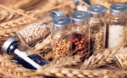 高基点筑牢国家粮食安全防线 