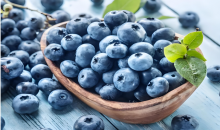 透过“蓝莓自由”把握果业之道   