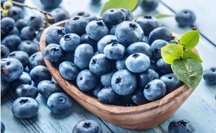 透过“蓝莓自由”把握果业之道   