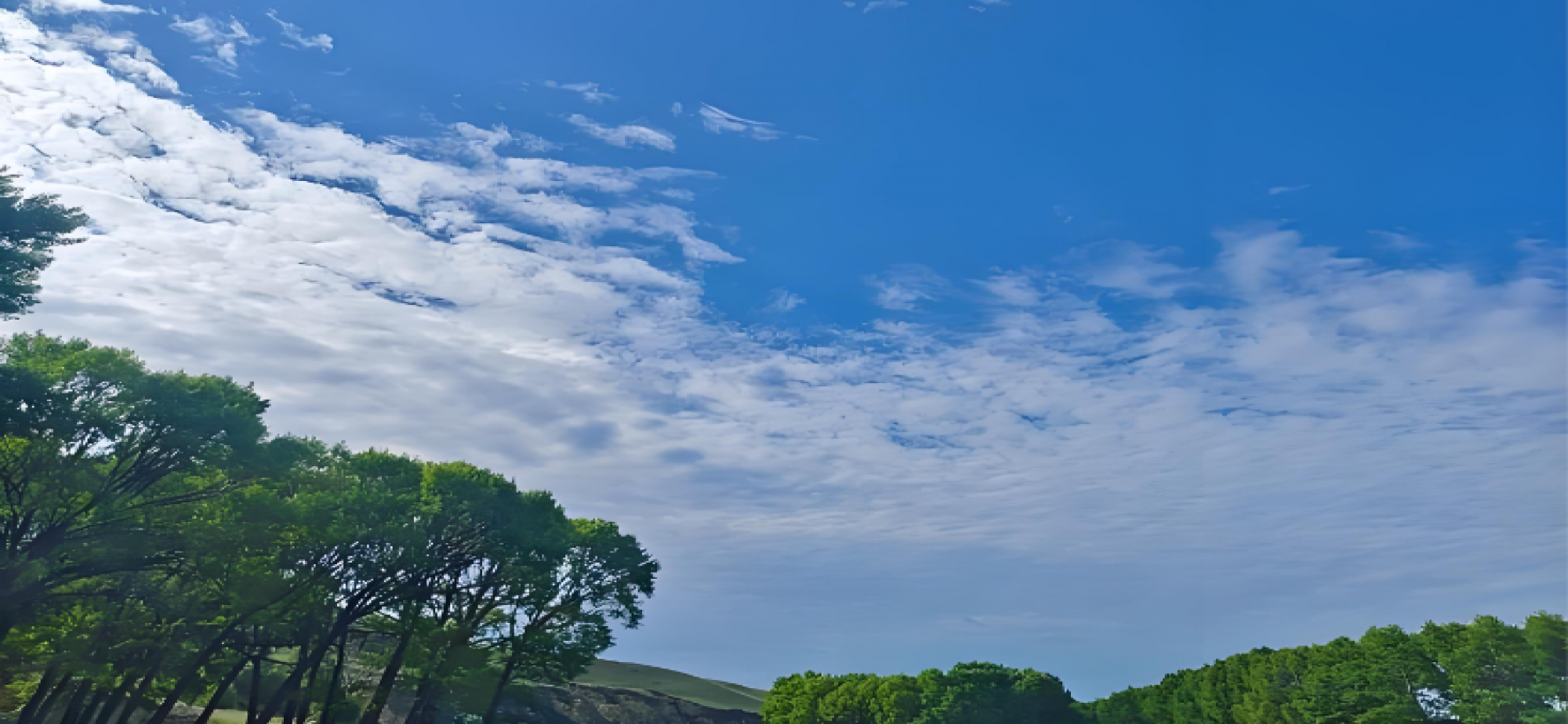 空气质量总体改善
