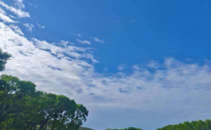 空气质量总体改善 部分区域有所反弹    