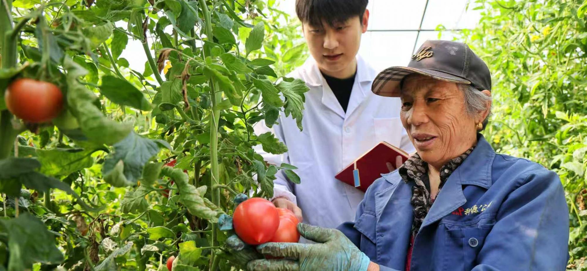 以实干践行嘱托 以实绩回报关怀