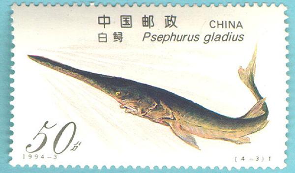 微信图片_20200103101505.jpg