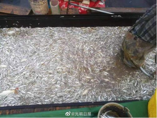 微信图片_20200106102139.jpg