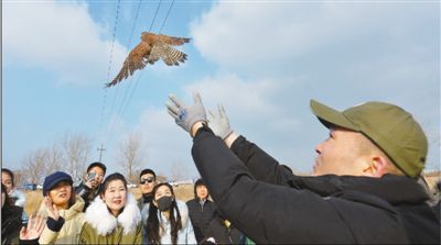 微信图片_20200220175415.jpg