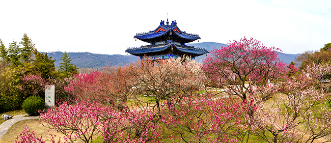 微信图片_20200325164138.jpg