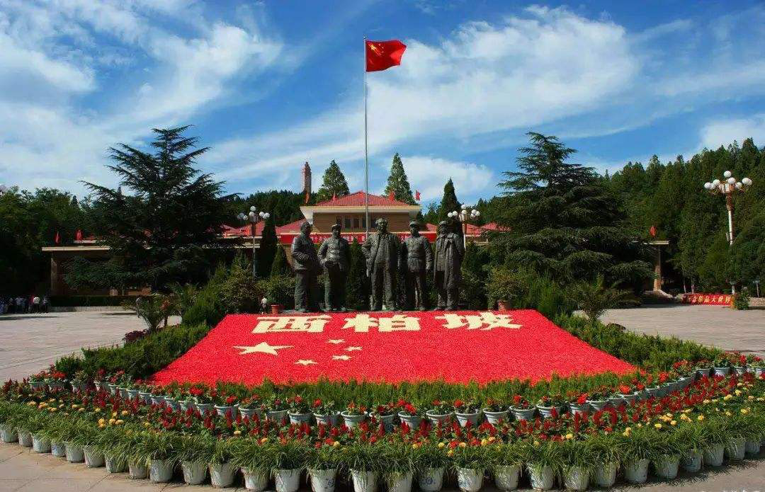 图片36.png
